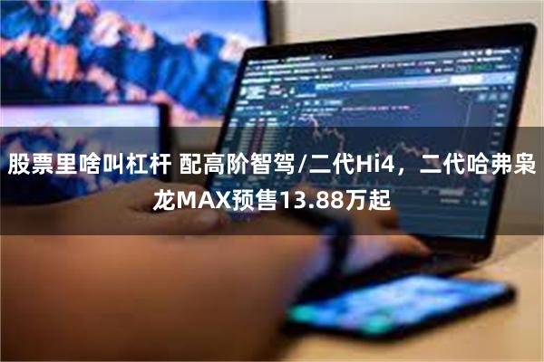 股票里啥叫杠杆 配高阶智驾/二代Hi4，二代哈弗枭龙MAX预售13.88万起